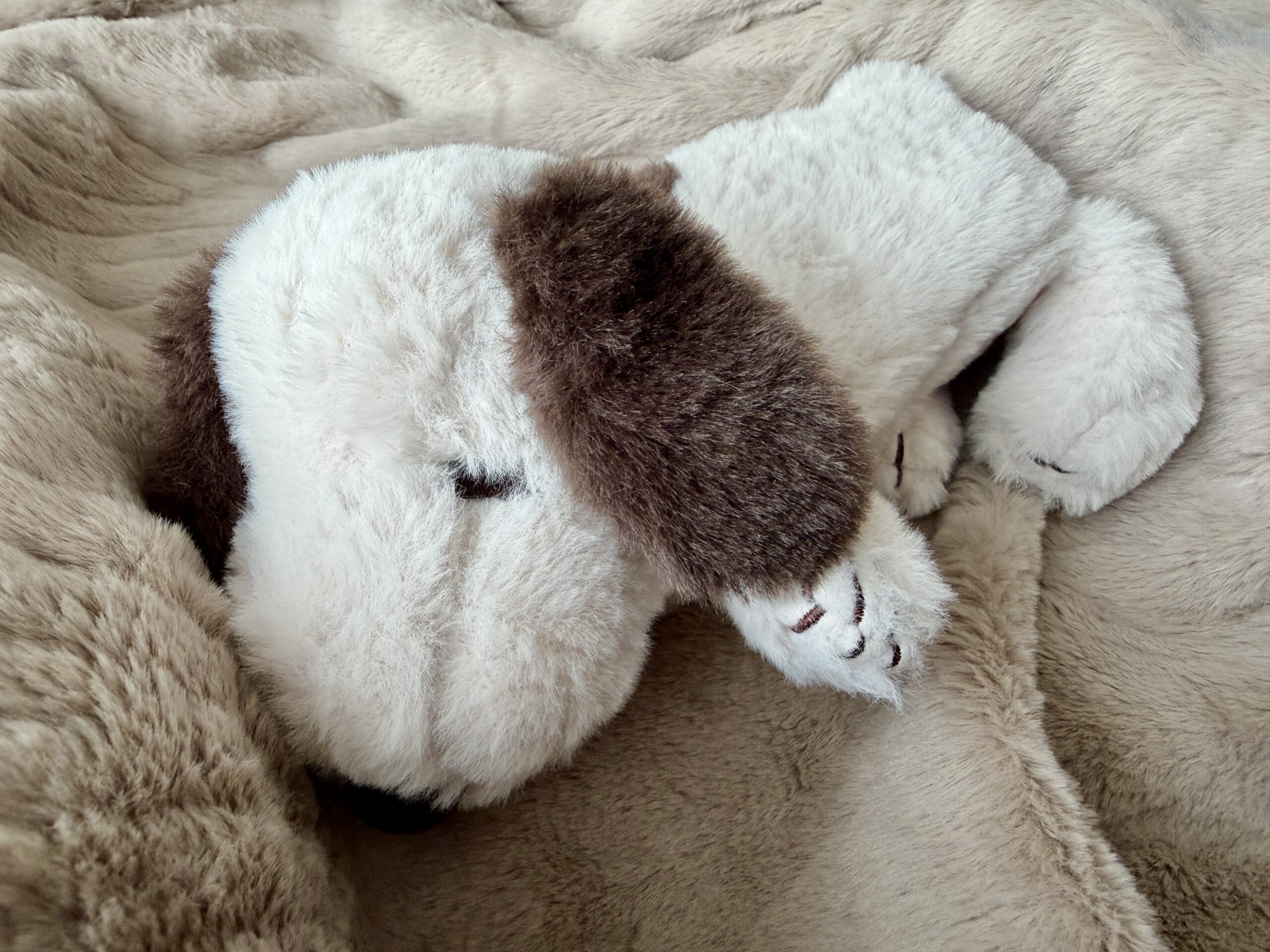 ぬいぐるみペンケースはどこで買える？